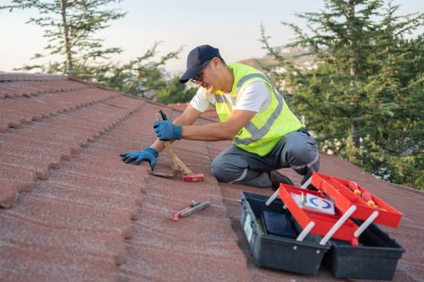 Best Metal Roofing Contractor  in Carrollton, VA