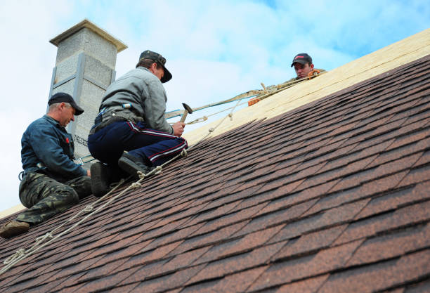 Best Roofing Contractor Near Me  in Carrollton, VA